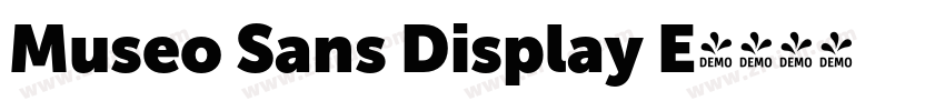 Museo Sans Display E字体转换